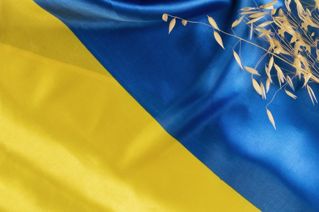В Україні діє понад 250 безкоштовних можливостей для вивчення української