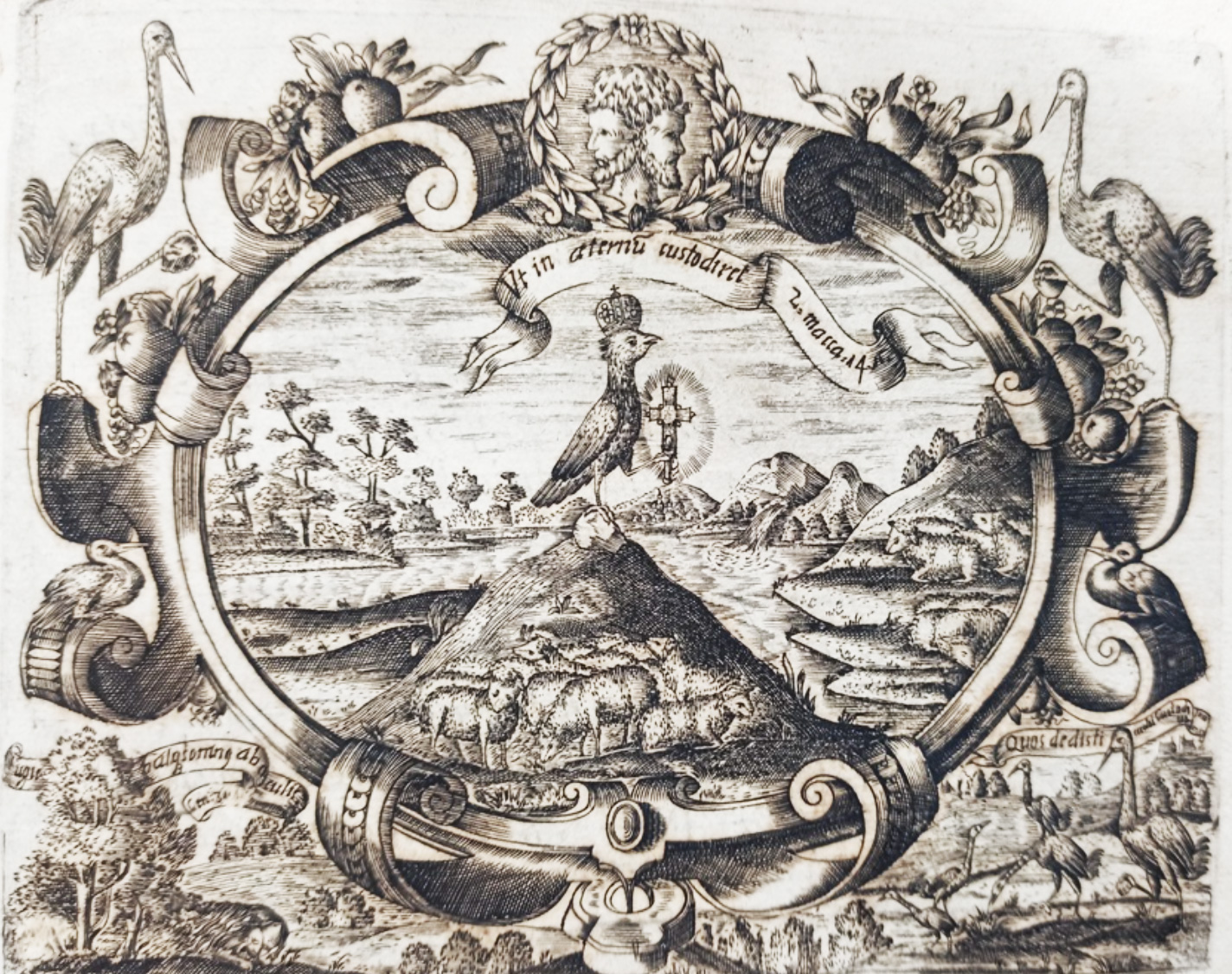 Видання панегірика Лазарю Барановичу «Redivivus Phoenix» 1683 року